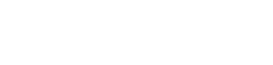 EzyInsp